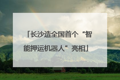 长沙造全国首个“智能押运机器人”亮相