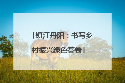 镇江丹阳：书写乡村振兴绿色答卷
