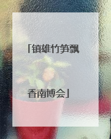 镇雄竹笋飘香南博会
