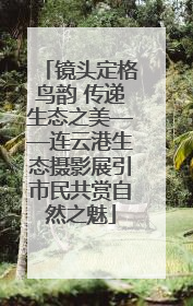 镜头定格鸟韵 传递生态之美——连云港生态摄影展引市民共赏自然之魅