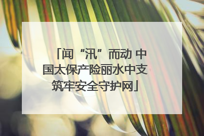 闻“汛”而动 中国太保产险丽水中支筑牢安全守护网