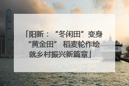 阳新：“冬闲田”变身“黄金田” 稻麦轮作绘就乡村振兴新篇章