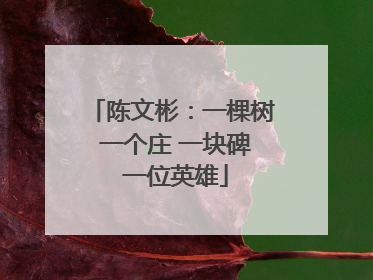 陈文彬：一棵树 一个庄 一块碑 一位英雄