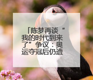 陈梦再谈“我的时代到来了”争议：奥运夺冠后仍遭质疑很煎熬，不敢再这么说了