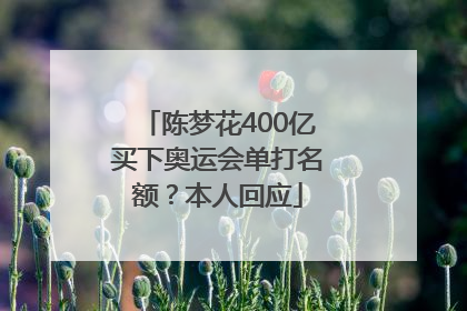 陈梦花400亿买下奥运会单打名额？本人回应
