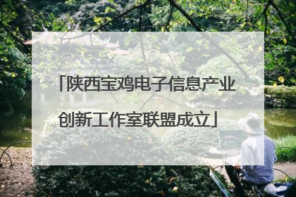 陕西宝鸡电子信息产业创新工作室联盟成立