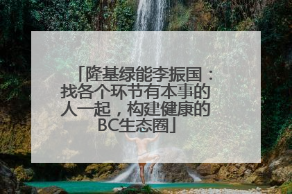 隆基绿能李振国：找各个环节有本事的人一起，构建健康的BC生态圈