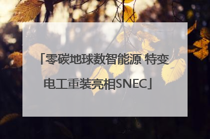零碳地球数智能源 特变电工重装亮相SNEC