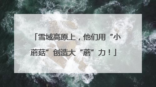 雪域高原上，他们用“小蘑菇”创造大“蘑”力！
