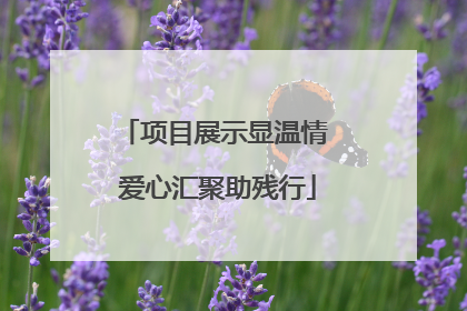 项目展示显温情 爱心汇聚助残行