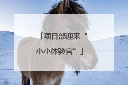 项目部迎来“小小体验官”