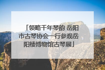 领略千年琴韵 岳阳市古琴协会一行参观岳阳楼博物馆古琴展