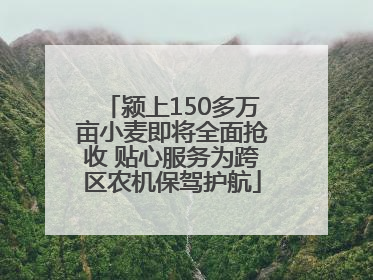 颍上150多万亩小麦即将全面抢收 贴心服务为跨区农机保驾护航
