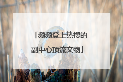 频频登上热搜的副中心顶流文物