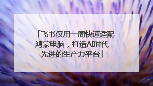 飞书仅用一周快速适配鸿蒙电脑，打造AI时代先进的生产力平台