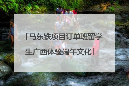 马东铁项目订单班留学生广西体验端午文化