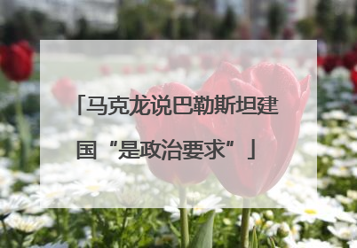 马克龙说巴勒斯坦建国“是政治要求”