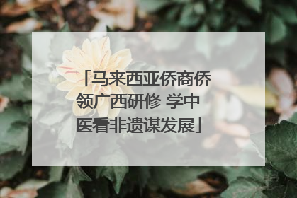 马来西亚侨商侨领广西研修 学中医看非遗谋发展