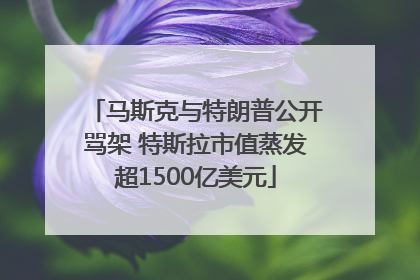 马斯克与特朗普公开骂架 特斯拉市值蒸发超1500亿美元