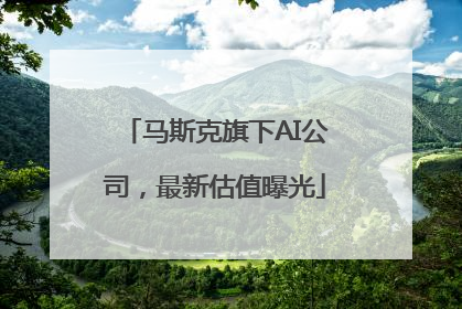 马斯克旗下AI公司，最新估值曝光