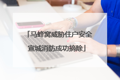 马蜂窝威胁住户安全 宣城消防成功摘除