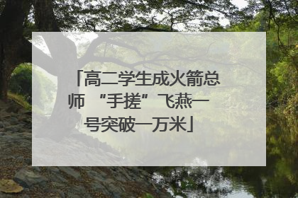 高二学生成火箭总师 “手搓”飞燕一号突破一万米