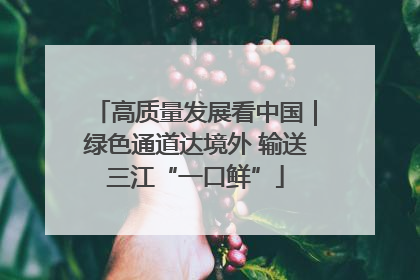 高质量发展看中国｜绿色通道达境外 输送三江“一口鲜”