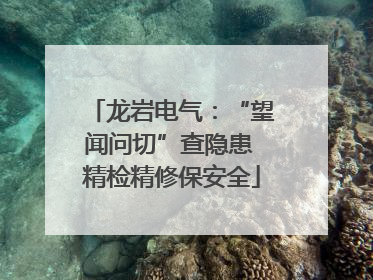 龙岩电气：“望闻问切”查隐患 精检精修保安全