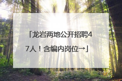 龙岩两地公开招聘47人！含编内岗位→