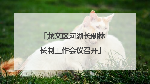 龙文区河湖长制林长制工作会议召开