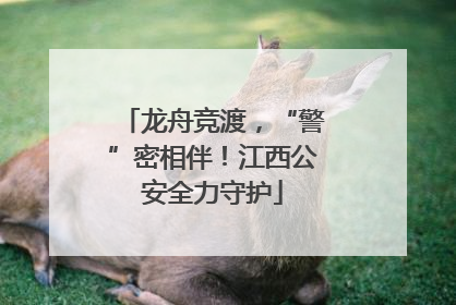 龙舟竞渡，“警”密相伴！江西公安全力守护