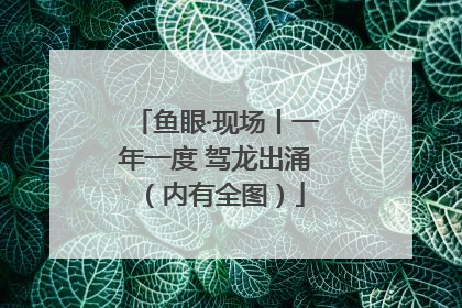 鱼眼·现场丨一年一度 驾龙出涌（内有全图）
