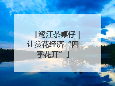 鹭江茶桌仔｜让赏花经济“四季花开”