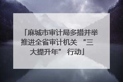 麻城市审计局多措并举推进全省审计机关 “三大提升年” 行动