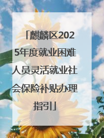 麒麟区2025年度就业困难人员灵活就业社会保险补贴办理指引