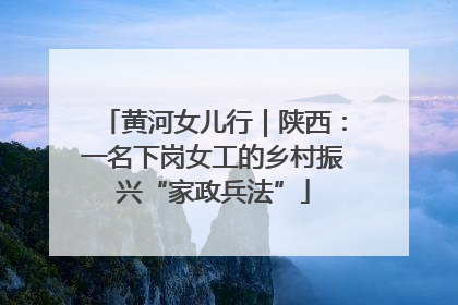 黄河女儿行｜陕西：一名下岗女工的乡村振兴“家政兵法”