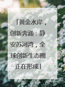 黄金水岸，创新奔涌：静安苏河湾，全球创新生态圈正在形成