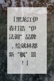 黑龙江伊春打造“伊法调”品牌，绘就林都新“枫”景！