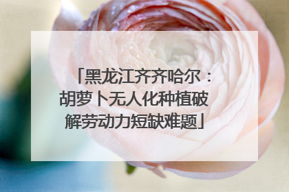 黑龙江齐齐哈尔：胡萝卜无人化种植破解劳动力短缺难题
