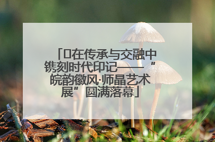 ﻿在传承与交融中镌刻时代印记——“皖韵徽风·师晶艺术展”圆满落幕