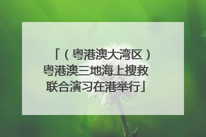 （粤港澳大湾区）粤港澳三地海上搜救联合演习在港举行