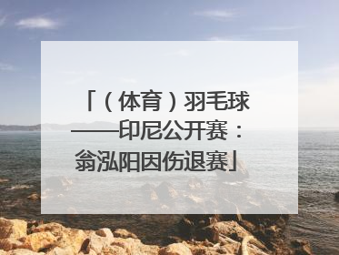 （体育）羽毛球——印尼公开赛：翁泓阳因伤退赛