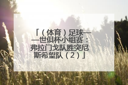 （体育）足球——世俱杯小组赛：弗拉门戈队胜突尼斯希望队（2）