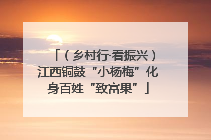 （乡村行·看振兴）江西铜鼓“小杨梅”化身百姓“致富果”