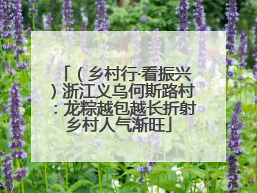 （乡村行·看振兴）浙江义乌何斯路村：龙粽越包越长折射乡村人气渐旺