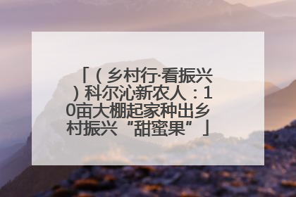 （乡村行·看振兴）科尔沁新农人：10亩大棚起家种出乡村振兴“甜蜜果”