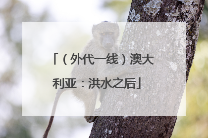 （外代一线）澳大利亚：洪水之后