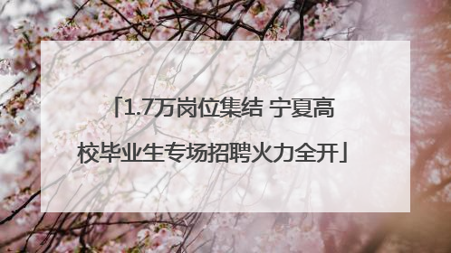 1.7万岗位集结 宁夏高校毕业生专场招聘火力全开