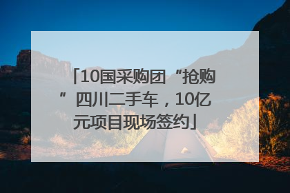 10国采购团“抢购”四川二手车，10亿元项目现场签约