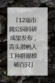 12项市属公园科研成果发布，青头潜鸭人工种群规模破百只